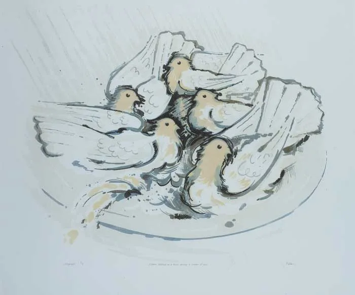 Liam ó Broin, PIGEONS BATHING IN A BASIN DURING A SHOWER OF RAIN, lithograph (no. 6 from an edition of 8)