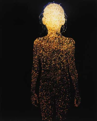 GUEST SERIES by Christopher Bucklow, cibachrome print on plexiglas (no. 322 from edition of 450), sold Dec 2007