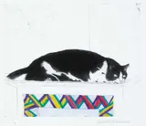 Elizabeth Blackadder, FRED ON TOP OF CUPBOARD, FROM CAT'S PORTFOLIO