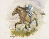 Peter Curling, JOCKEY AND RACEHORSE