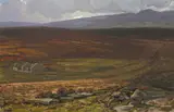 Jeremiah Hoad, THE HIGH BOG