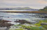 Norman Teeling, BALDOYLE ESTUARY, EARLY MORNING