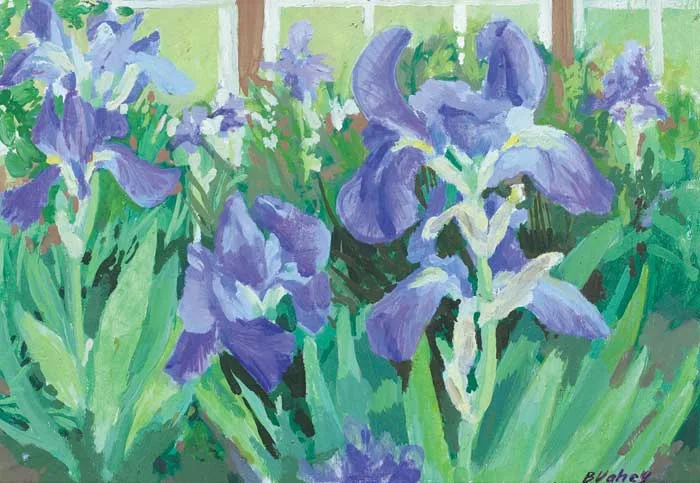 JUNE IRISES by Brian Vahey, acrylic on board, offered Dec 2007