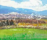 Cecil Maguire, COLLESCIPOLI, SPRINGTIME