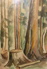 Moila Powell, IN A KASHMIR FOREST