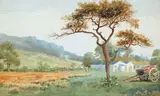 Joseph William Carey, CAVE HILL
