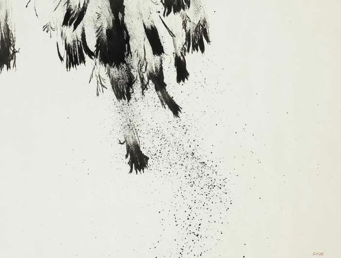Patrick Scott, SERIES E, 1977, ink on Ingres paper