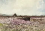 DONEGAL, Whyte's 2008