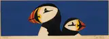 Tom Roche, PUFFINS