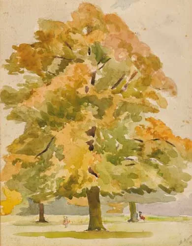 TREE STUDY by Moyra Barry, 1939, watercolour over pencil, sold May 2007