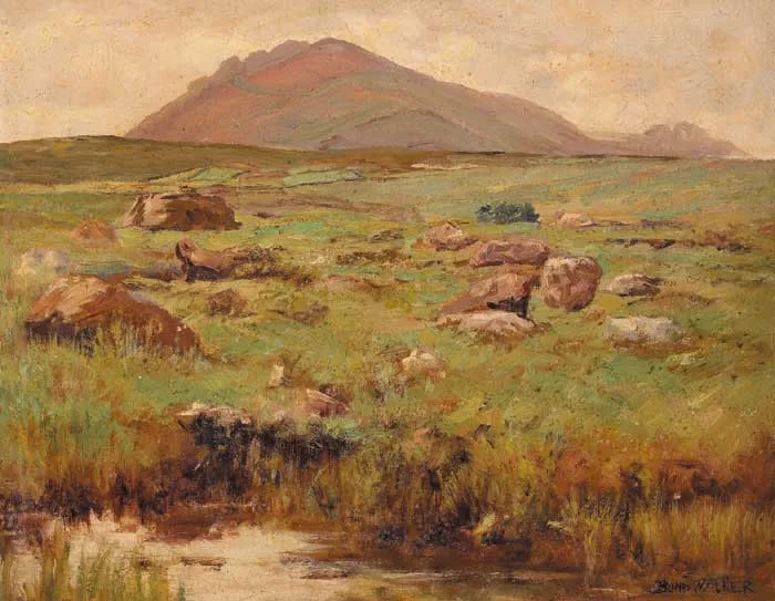 David Bond Walker, ERRISBEG SEEN FROM ROUNDSTONE BOG, CONNEMARA, oil on canvas