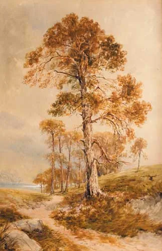 LANDSCAPE WITH SCOTTS PINES by William Bingham McGuinness, 1889, watercolour over pencil heightened with white, offered May 2007