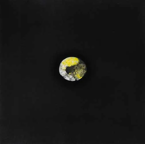 LEMON by Louis le Brocquy, 1974, aquatint on wove paper (no. 29 from an edition of 75), sold May 2007