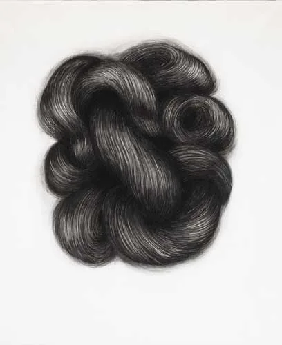 Alice Maher, COMA BERENICES, 1999, charcoal on paper
