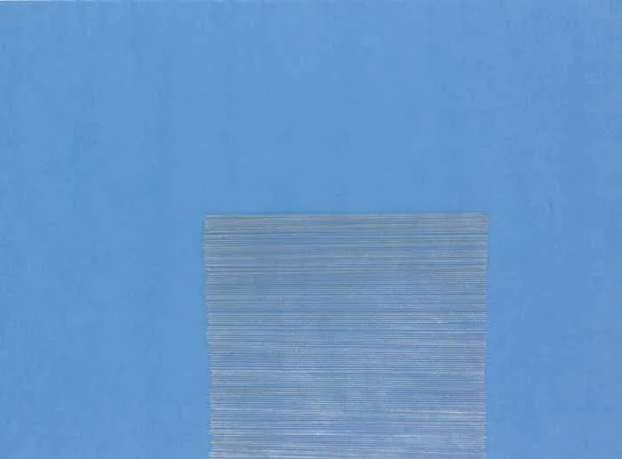 Corban Walker, TRANSPARENT UNTITLED DRAWING IV, 2001, ink on paper