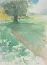 Tom Carr, SPRING CORN