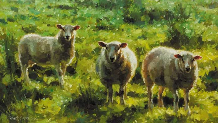 THREE WHITE SHEEP by Mark O'Neill, 2006, oil on board, sold Apr 2007