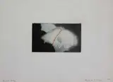 Hughie O'Donoghue, BRUISE