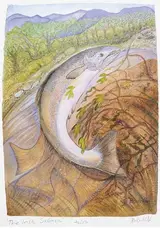 Pauline Bewick, THE IRISH SALMON
