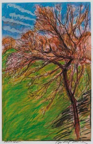WHITETHORN by Brian Bourke, watercolour, pastel and pencil, sold Feb 2007