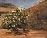 STUDY: TREE IN COURTYARD, Whyte's 2007