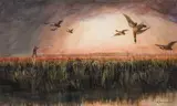 DUCK SHOOTING, Whyte's 2007