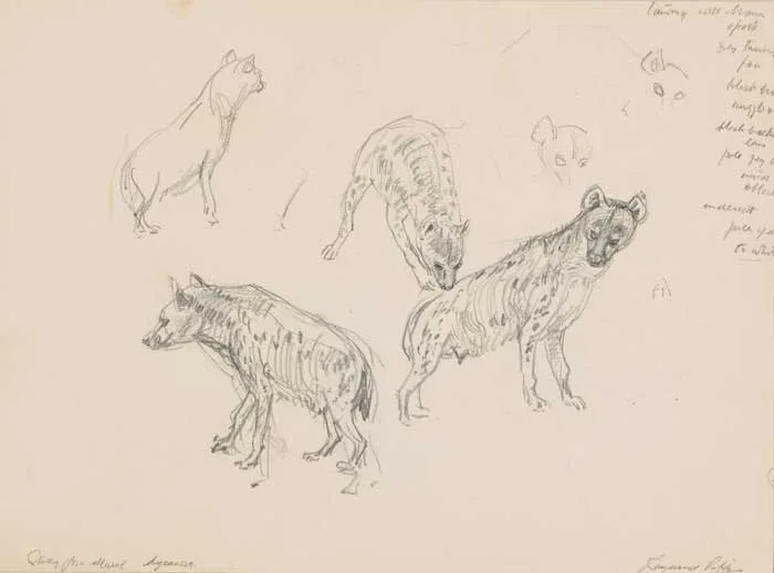 Raymond Piper, STUDY FOR MURAL - HYENAS, pencil on paper
