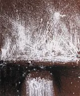 Patrick Scott, SPUME