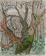 Pauline Bewick, TANGLE OF SALLYS