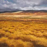 Trevor Geoghegan, ORANGE PLAIN
