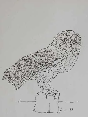 Edward McGuire, BARN OWL, 1983, pen and ink on paper