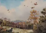 Robert W. Milliken, THE PHEASANT SHOOT