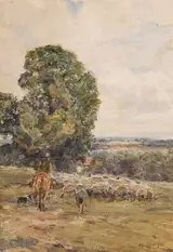 Claude Hayes, SHEPHERD AND DOG HERDING SHEEP