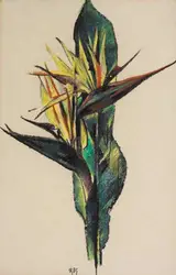 Rosaleen Brigid Ganly, BIRD OF PARADISE