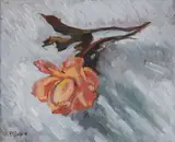 Kitty Wilmer O'Brien, A ROSE CALLED ARKLE