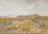 Claude Hayes, FIELD FLOWERS WITH FLOCK OF SHEEP BEYOND