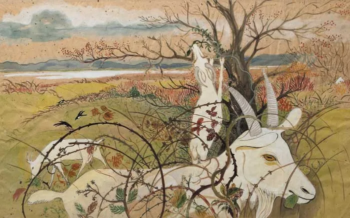 Pauline Bewick, THREE WHITE GOATS, NOVEMBER 1981, signed and dated lower left; exhibition label on reverse