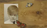 Patrick Hennessy, BUTTERFLY BOY