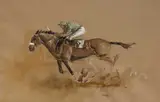 Peter Curling, PIGGOTT UP
