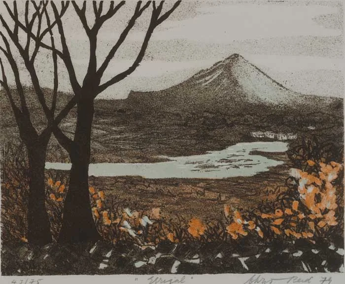ERRIGAL by Chris Reid, colour lithograph (no. 47 from an edition of 75), sold Dec 2005