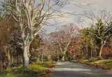 Frank Egginton, ARDS, COUNTY DONEGAL