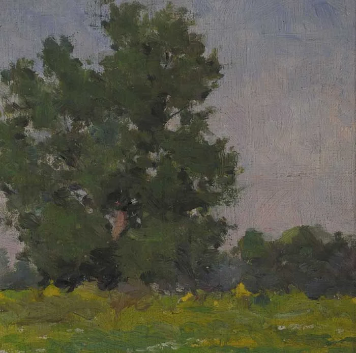TREE STUDY, SUMMERTIME by Michael Healy, oil on canvas board, sold Dec 2005