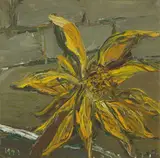 Nick Miller, DAHLIA