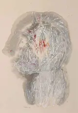 Louis le Brocquy, HEAD