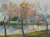 Liam Treacy, GRAND CANAL, DUBLIN