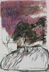 Brian Bourke, POLLING LANDSCAPE