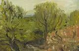 Eithne Jordan, TREES WITH HONEYSUCKLE