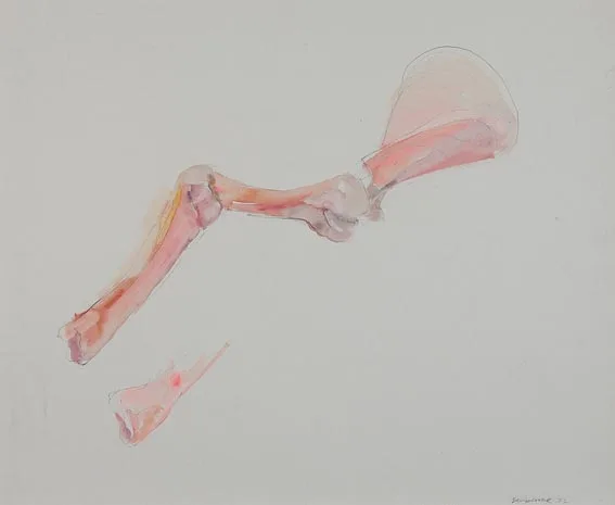 BONE by Barrie Cooke, watercolour and gouache over pencil, offered Jun 2005