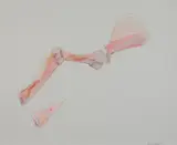 Barrie Cooke, BONE