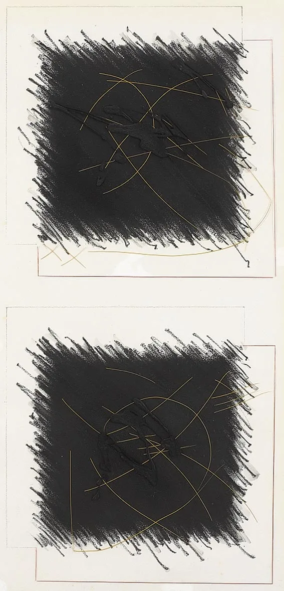 Mary Fitzgerald, DRAWING I, acrylic and graphite on paper and acrylic sheet